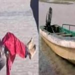 Aminu Ringi Bagwai – Ruwan Bagwai