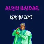 Aliyu Haidar - Kukan Zuci