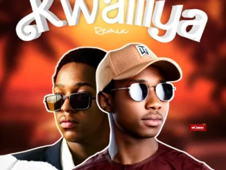 Mr Fire – Kwalliya Remix Ft. Jagaban 001