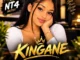 Nt4 – Kingane Ft Sadiq Technic